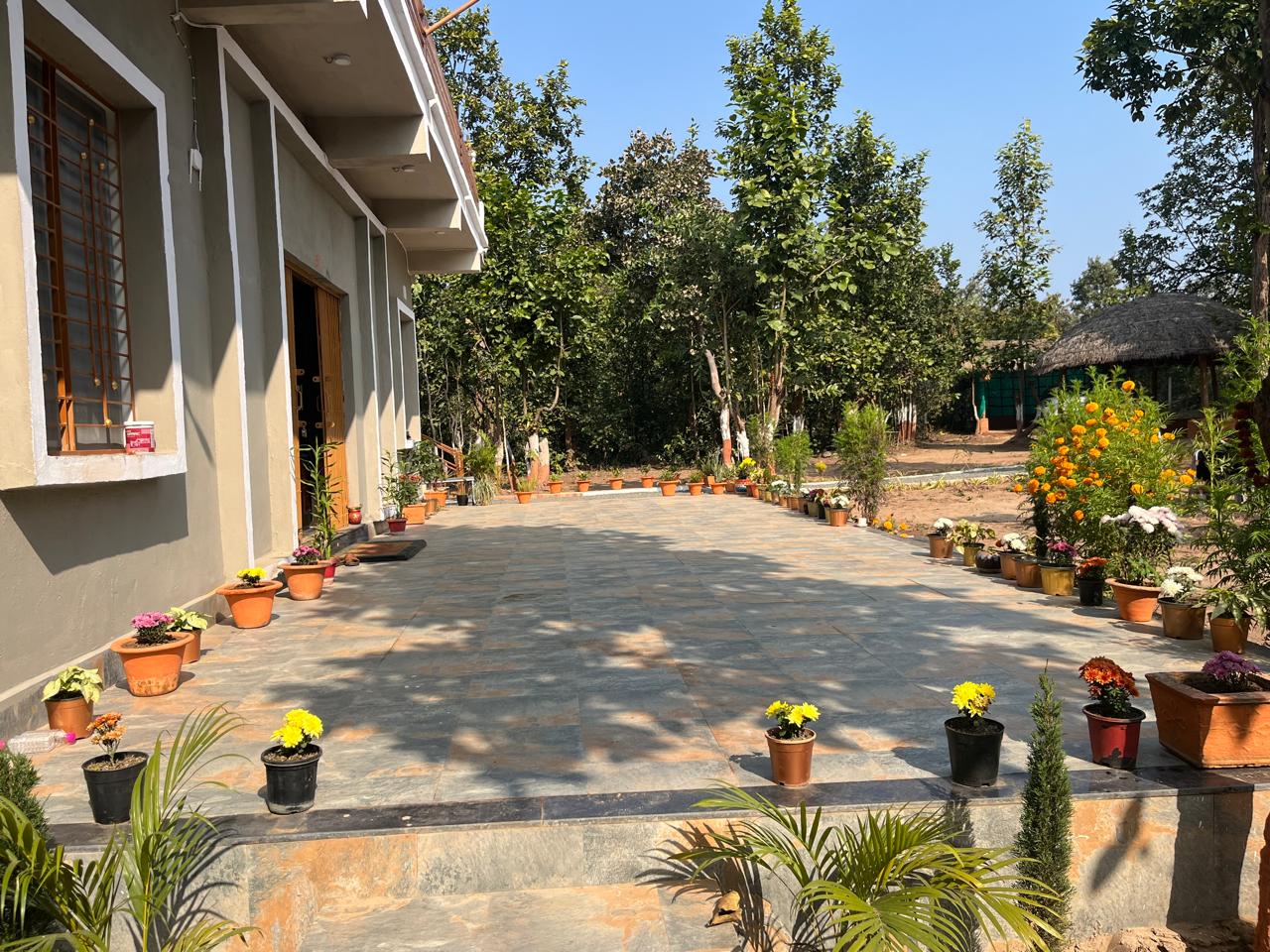 Luxury resort pool with palm trees at sunset